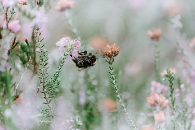 featured-image.jpg